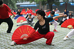 Parc des bamvous pourpres : Qigong de l'ventail